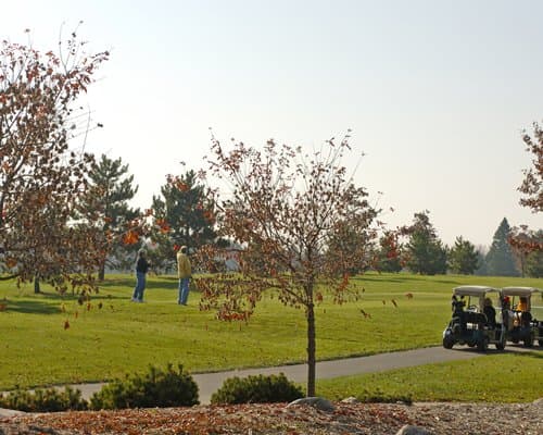 Whitebirch at Breezy Point Resort – photo 18