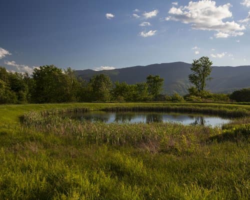 The Seasons Resort at Sugarbush – photo 24