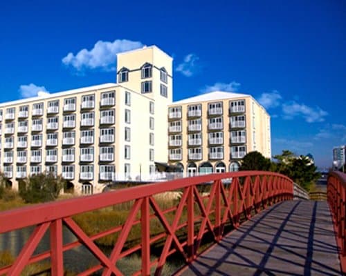 Ocean City Coconut Malorie – photo 5