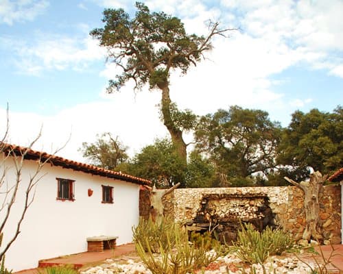 Hacienda Santa Verónica – photo 9