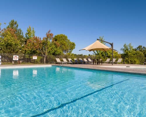 WorldMark Wine Country Angels Camp – photo 3