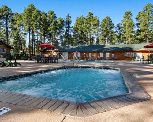 WorldMark Pinetop – photo 5