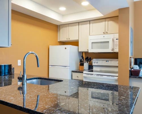 WorldMark Orlando Kingstown Reef – photo 42