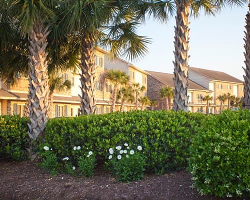 Grand Palms Resort Villas – photo 17