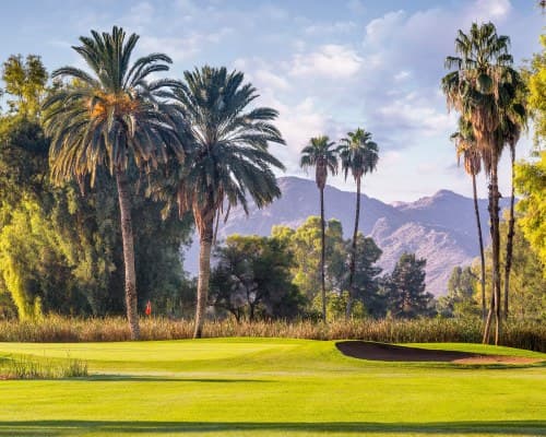 Club Wyndham Orange Tree Resort – photo 19