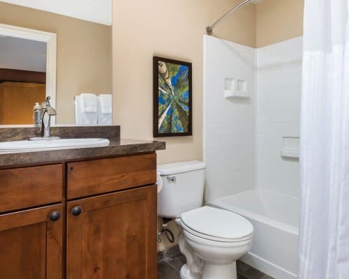 WorldMark Estes Park – photo 10