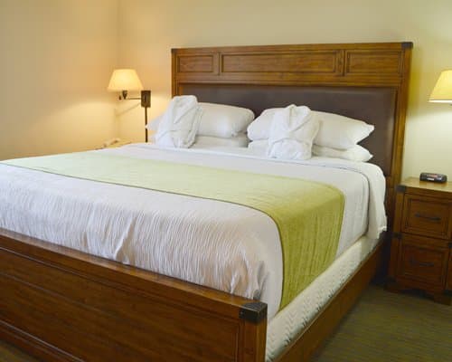 Sapphire Resorts @ Park Regency – photo 15