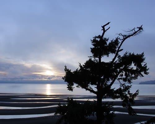Raintree's Sandcastle at Birch Bay – photo 14