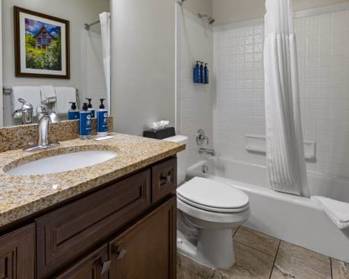 WorldMark Midway – photo 30