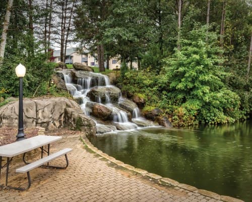 Club Wyndham Tamarack – photo 27