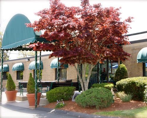 Holly Tree Resort – photo 13