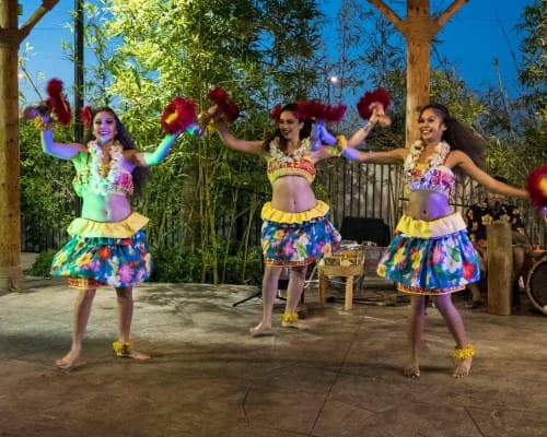Tahiti Village – photo 35