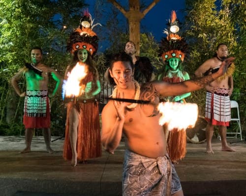 Tahiti Village – photo 37