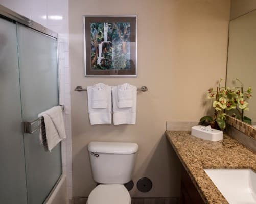 Kahana Villa Resort – photo 17