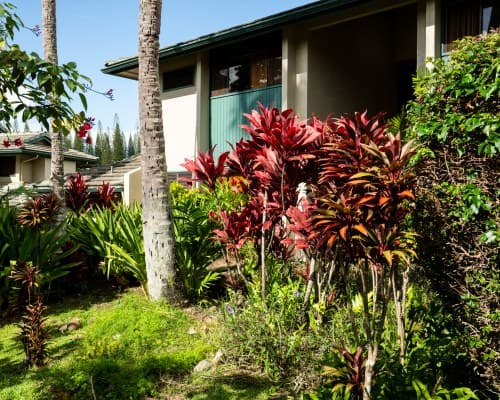 The Gardens at West Maui – photo 6