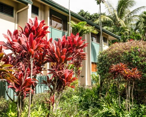 The Gardens at West Maui – photo 11