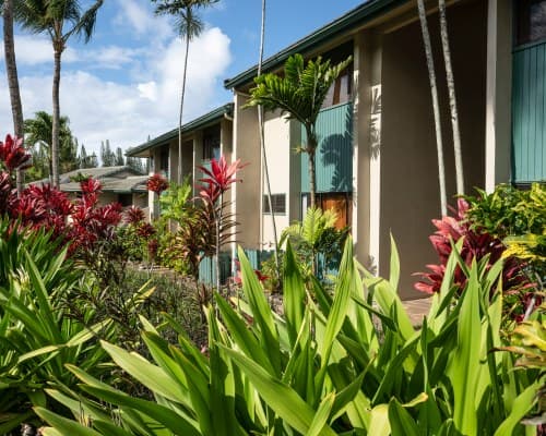 The Gardens at West Maui – photo 14