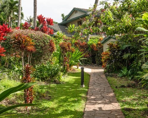 The Gardens at West Maui – photo 15