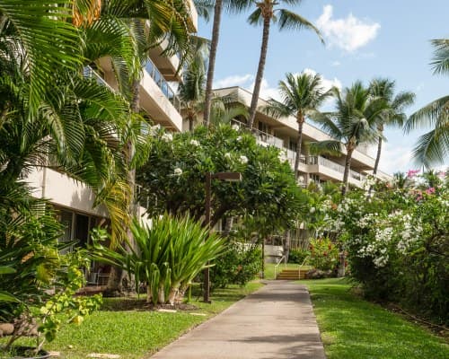 Maui Banyan Vacation Club – photo 11