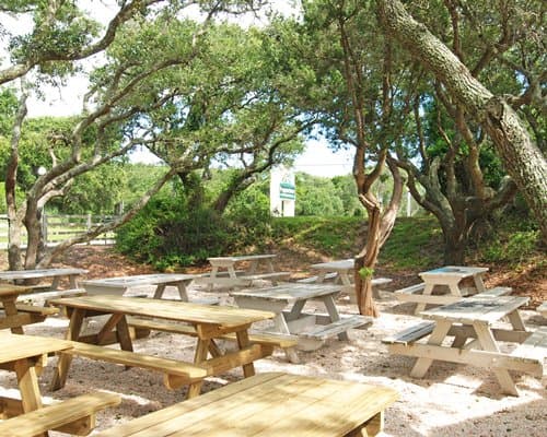 Peppertree Atlantic Beach II – photo 3