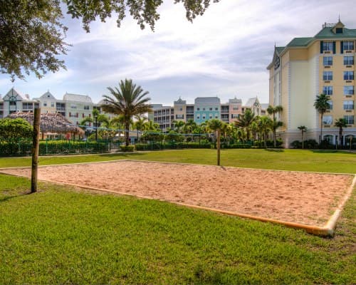Calypso Cay Resort – photo 12