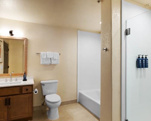 WorldMark Scottsdale – photo 20