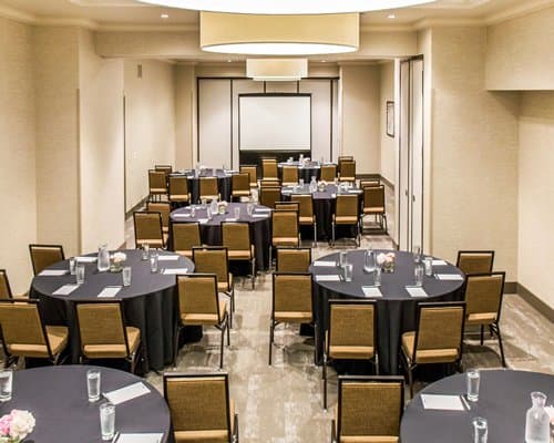 Cambria Chicago - 5 Nights – photo 13