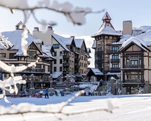 Tamarack Resort – photo 13